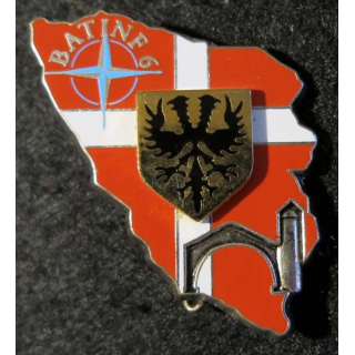 1°régiment d'infanterie 3° CECAC du Bataillon d'infanterie N° 6 JY Segalen 1996