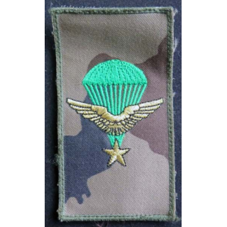 Insigne tissu des commandos parachutiste de l'Air dimension 6 x 11cm 