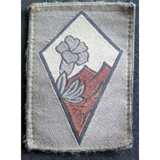 BA Insigne tissu dela brigade alpine basse visibilité  5 x 6,8 cm