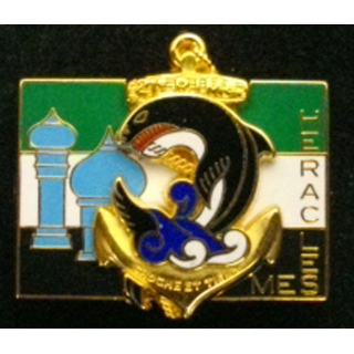 21° RIMA : 21° RÉGT INFANTERIE MARINE HERACLES MES AFGHANISTAN