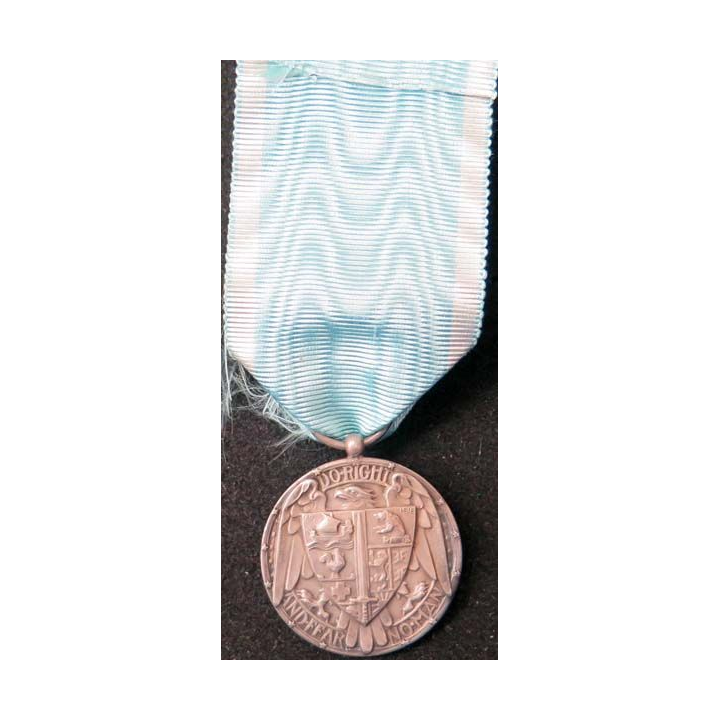 Médaille du comité américain USA régions dévastées France 1916 1923 