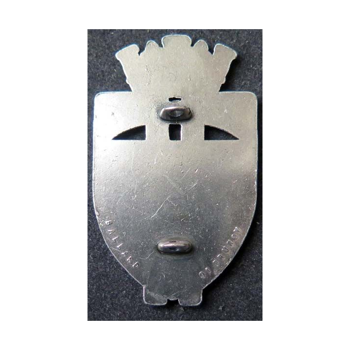 insigne des sapeurs pompiers Versailles grandes haches Ballard