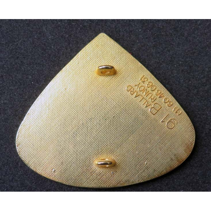  insigne de pompier insigne de sapeurs pompiers de Pugno Var ballard