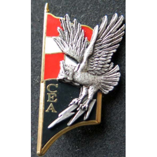 1° RI CEA compagnie d'éclairage et d'appui du 1° régiment d'infanterie
