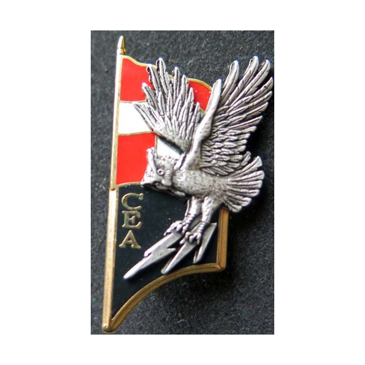 1° RI CEA compagnie d'éclairage et d'appui du 1° régiment d'infanterie