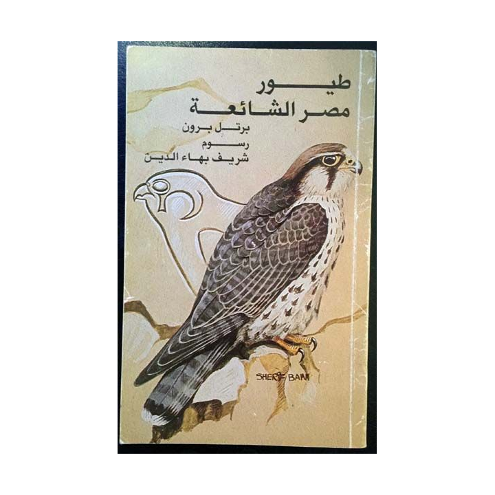 1. Common Birds of Egypt de Bertel Bruun aux éditions The American University in Cairo Press