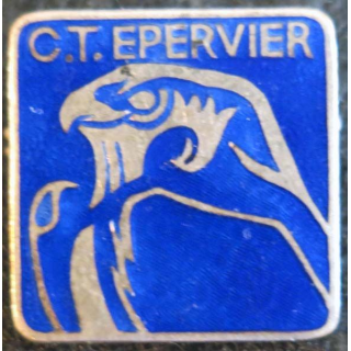 L'EPERVIER : Contre torpilleur L'Epervier Augis Lyon en émail