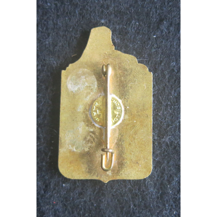 14° DI : insigne métallique de la 14° division d'infanterie Chobillon en émail 