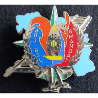 Escadron de circulation du 403° bataillon de soutien logistique Balme Saumur