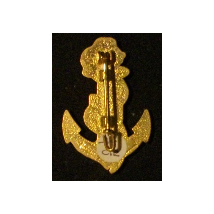 RMT : RÉGIMENT DE MARCHE DU TCHAD 1°COMPAGNIE COBRA VERT