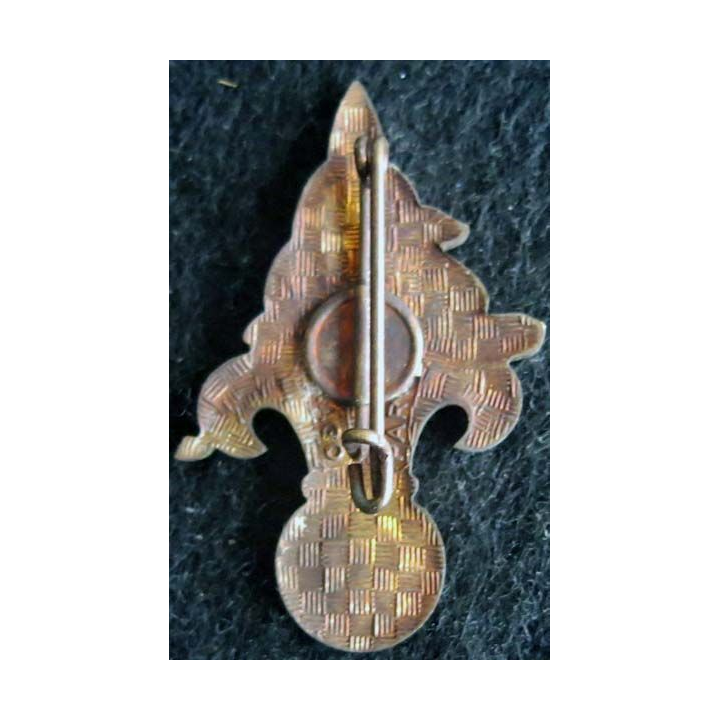 21° compagnie portée de Légion Drago Paris bronze