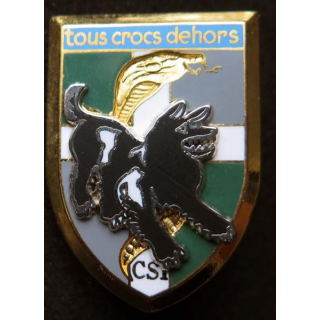 8° RI compagnie spécialisation instruction CSI tous crocs dehors inf
