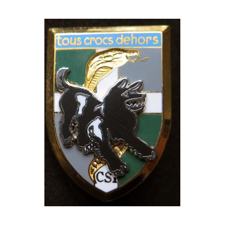 8° RI compagnie spécialisation instruction CSI tous crocs dehors inf