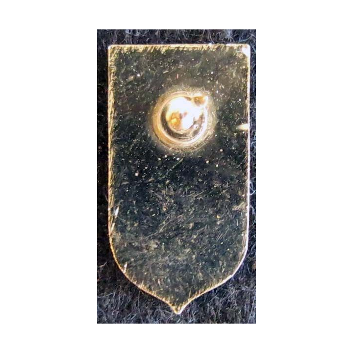 pin's métallique de l’amicale des anciens de la Légion Etrangère de Colmar 