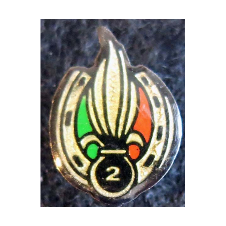 2° REI : pin's métallique du 2° régiment étranger d'infanterie 