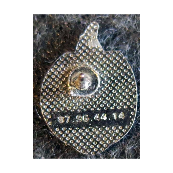 2° REI : pin's métallique du 2° régiment étranger d'infanterie 