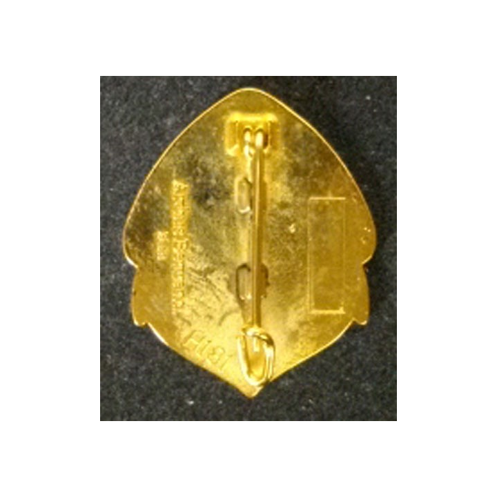 RÉGIMENT DE MARCHE DU TCHAD GRAND MODULE 37 MM