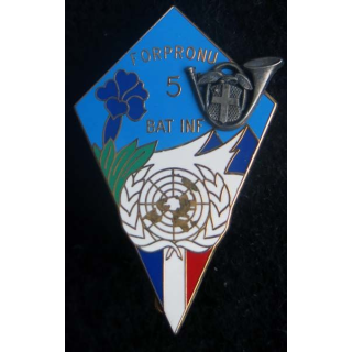 13° BCA bataillon d'Infanterie N° 5 de la FORPRONU Arthus Bertrant Paris