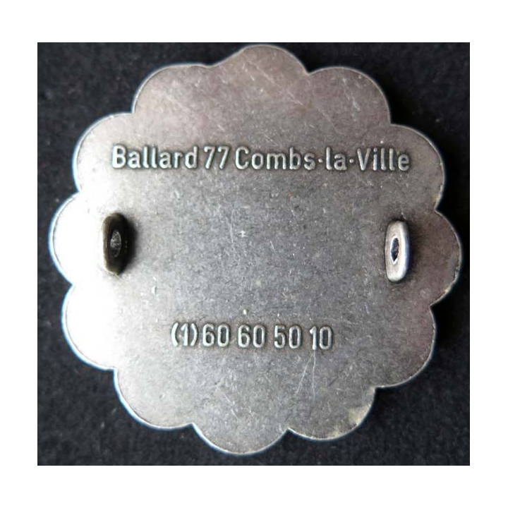 1° RCP 4° compagnie régiment chasseurs parachutistes marsupilami
