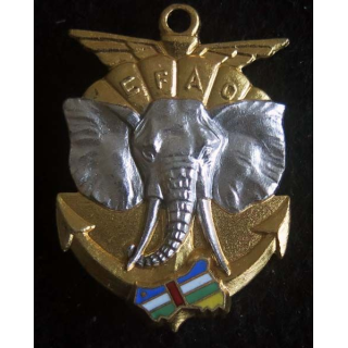 Eléments français d’assistance opérationnelle (EFAO) FIA Lyon G. 2970
