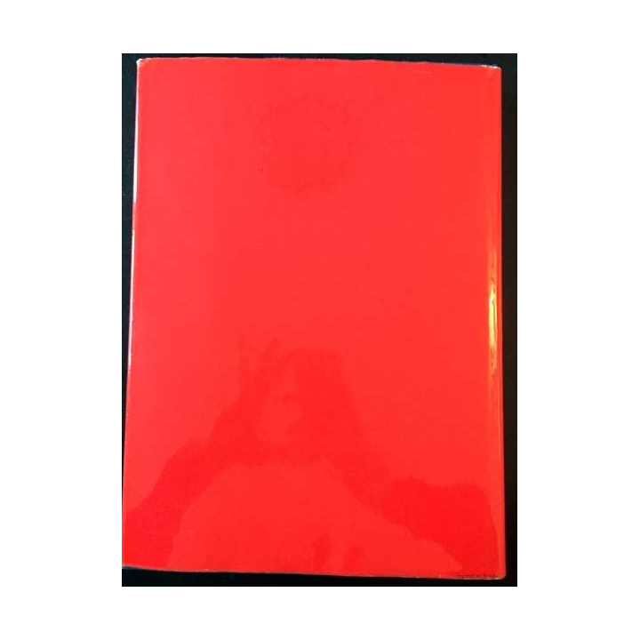 1. Peinture moderne tendances contemporaines texte de Nello Ponente aux éditions Skira