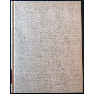 1. Der Städtebau nach den ergebnissen der allgemeinen städtebau-ausstellung in Berlin de Dr Werner Hegemann 1913
