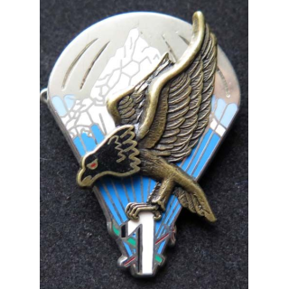 9° RCP 9° compagnie régiment chasseurs parachutistes