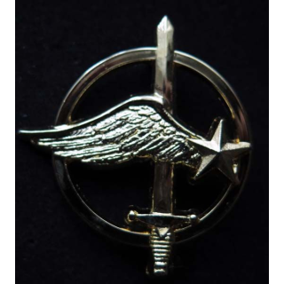 COMMANDOS AIR insigne de béret des commandos de l'air Ballard