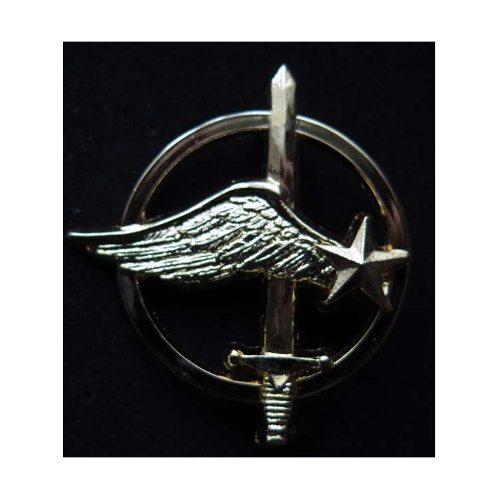 COMMANDOS AIR insigne de béret des commandos de l'air Ballard