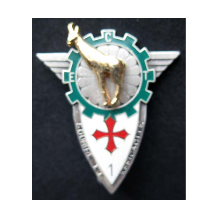 insigne 14° régiment parachutiste de commandement et des services RPCS