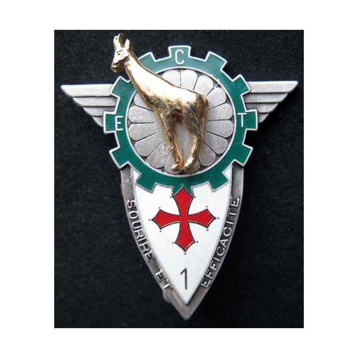 insigne 14° régiment parachutiste de commandement et des services RPCS