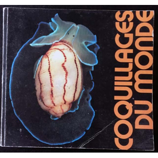 1. Coquillage du monde muséum national d'Histoire naturelle