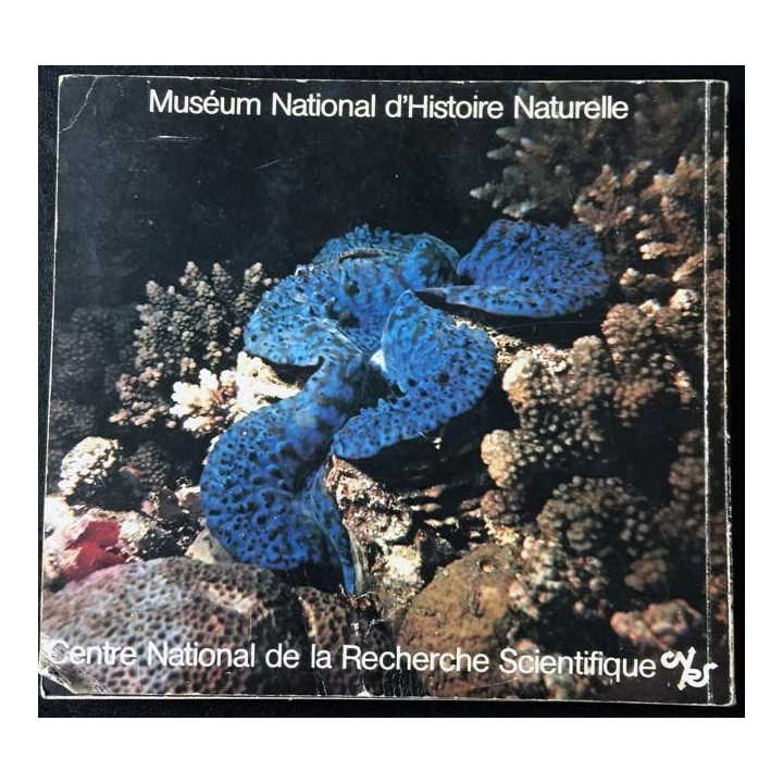 1. Coquillage du monde muséum national d'Histoire naturelle