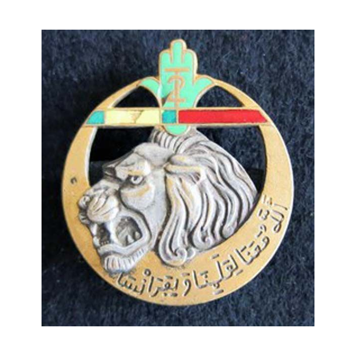2° régiment de tirailleurs algériens RTA OFSI  