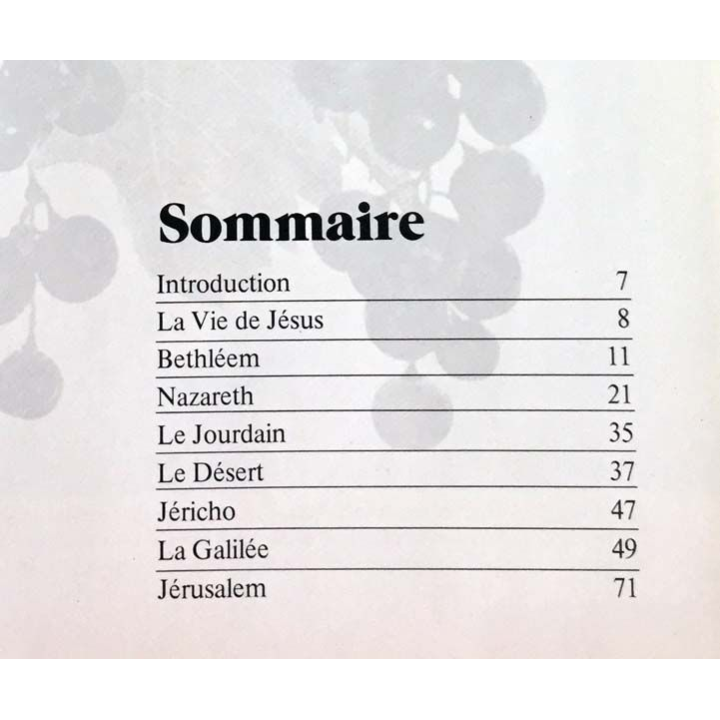 1. Avec Jésus en Terre Sainte par le professeur Wolfgang Pax aux éditions Fleurus / Paris