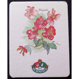 Dessous de verre à bière De Koninck Weigelia sous verre 9 x 11,5 cm