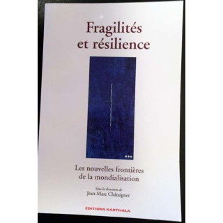 1. Fragilité et résilience - Les nouvelles frontières de la mondialisation sous la direction de Jean-Marc Châtaigner