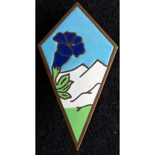 27° division d’infanterie alpine  