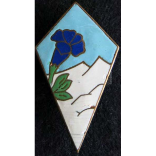 27° division d’infanterie alpine en émail attache cassée