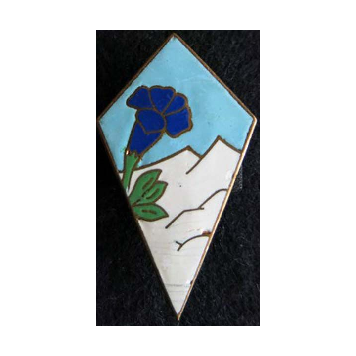 27° division d’infanterie alpine en émail attache cassée