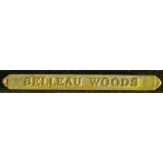 BARRETTE VICTORY MEDAL US WW1 médaille de victoire Bellow woods