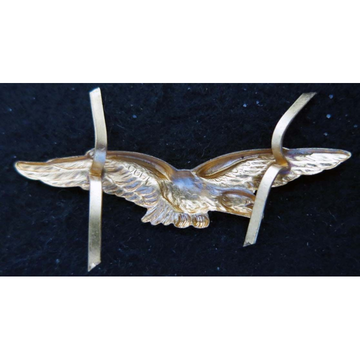 insigne de calot de l’armée de l’Air en métal doré embouti
