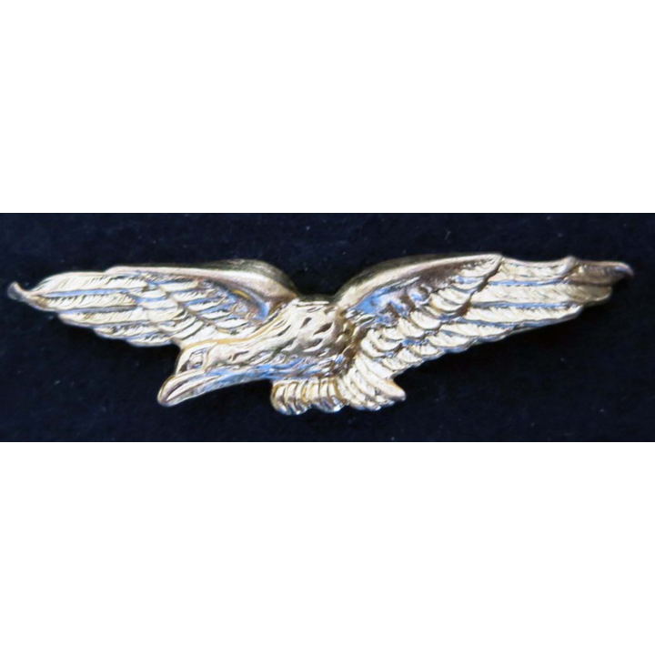 insigne de calot de l’armée de l’Air  en métal doré embouti  