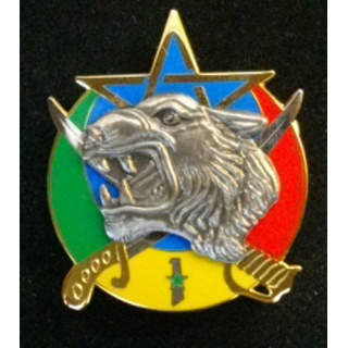 1° escadron du 1° régiment de spahis marocains RSM 