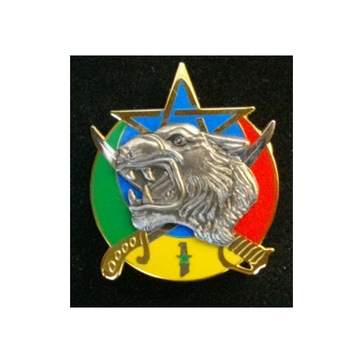 1° escadron du 1° régiment de spahis marocains RSM 