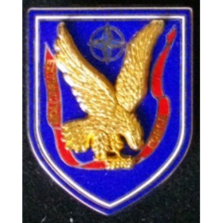 8° PARALLEL parachutiste d'infanterie de Marine RPIMA EXTRACTION FORCE