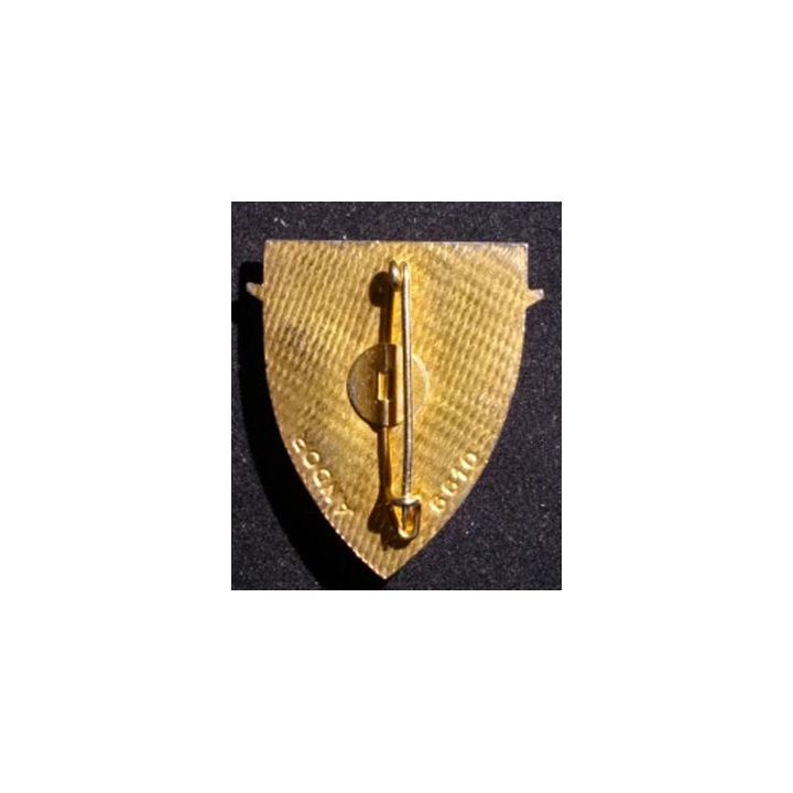 FFA : FORCES FRANÇAISES EN ALLEMAGNE (ANDOR 6610) ÉMAIL