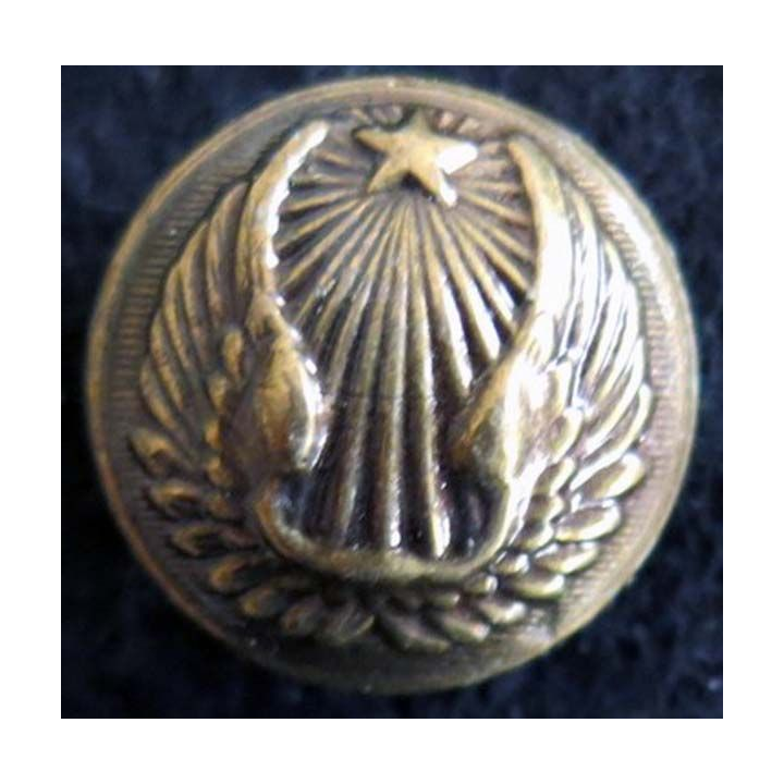 Bouton d'uniforme de l'armée de l'Air française de 21 mm 