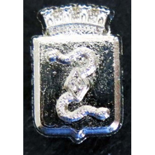 pin's du 30°groupement de camp Bitche Ballard