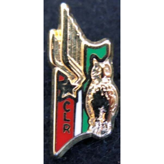  pin's de la 4° CLR du 1° régiment d'infanterie Ballard 24x11 mm 